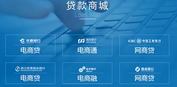 云貸365 數字化時代的專業金融中介服務